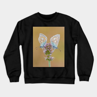 Two Common Blue Butterflies on Apple Mint Flower Crewneck Sweatshirt